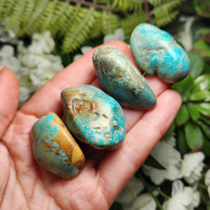 Turquoise Stone
