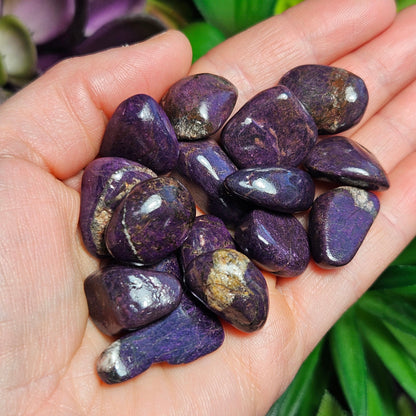 Purpurite Stone