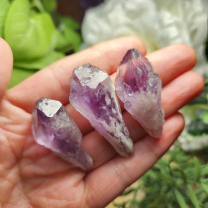 Dragons Tooth Amethyst