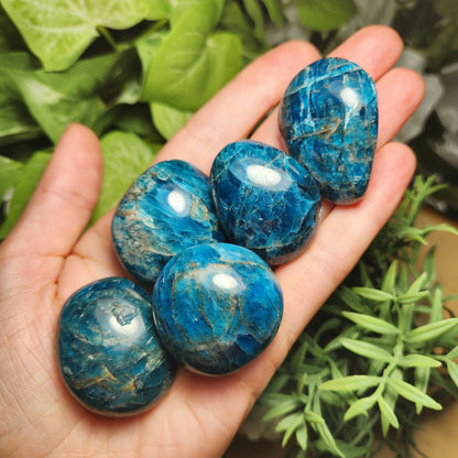 Blue Apatite Palm Stone