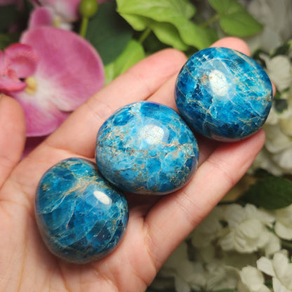 Blue Apatite Palm Stone