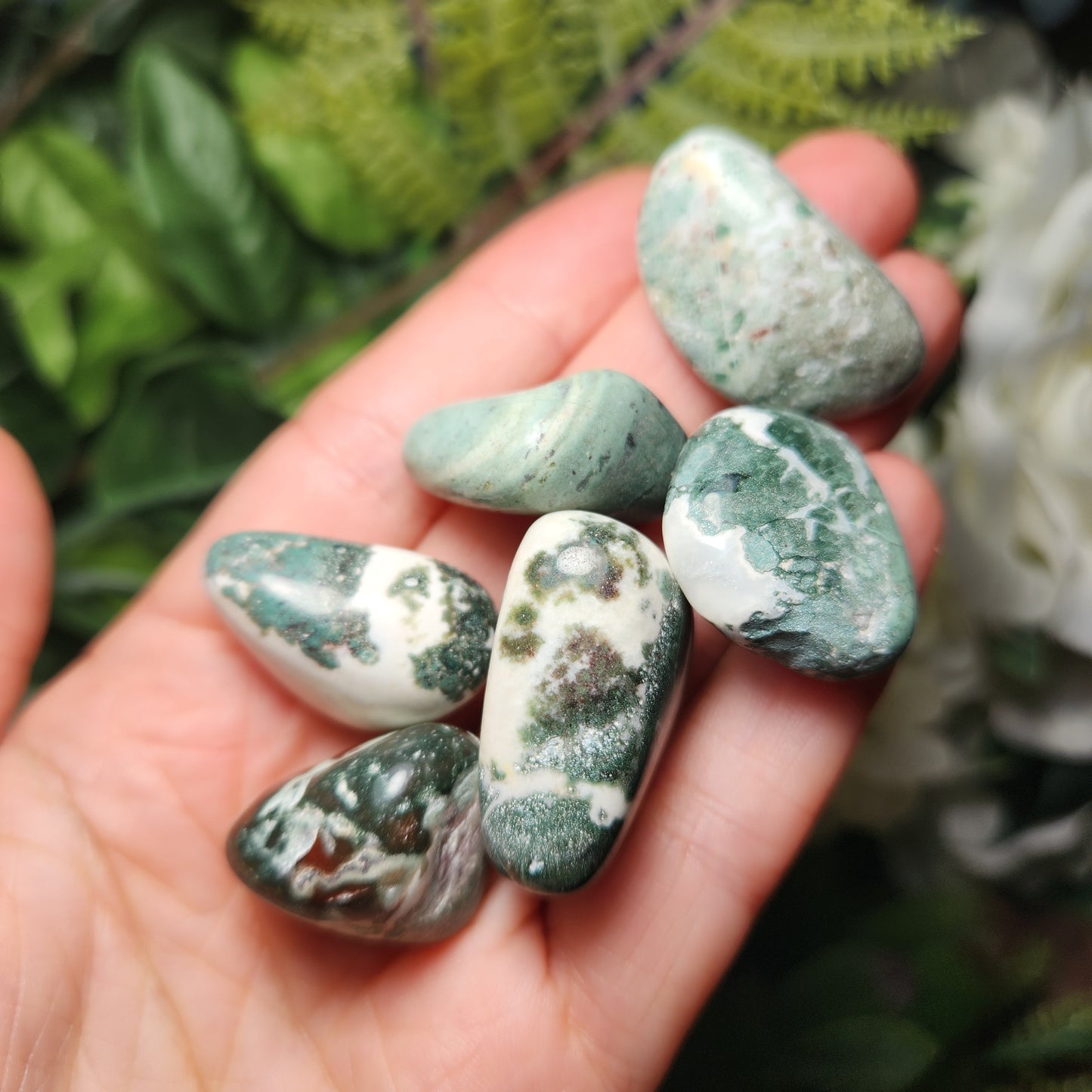 Green Sardonyx