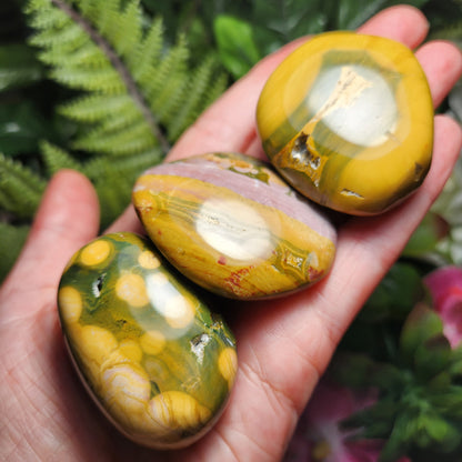 Kabamby Ocean Jasper Palm Stone