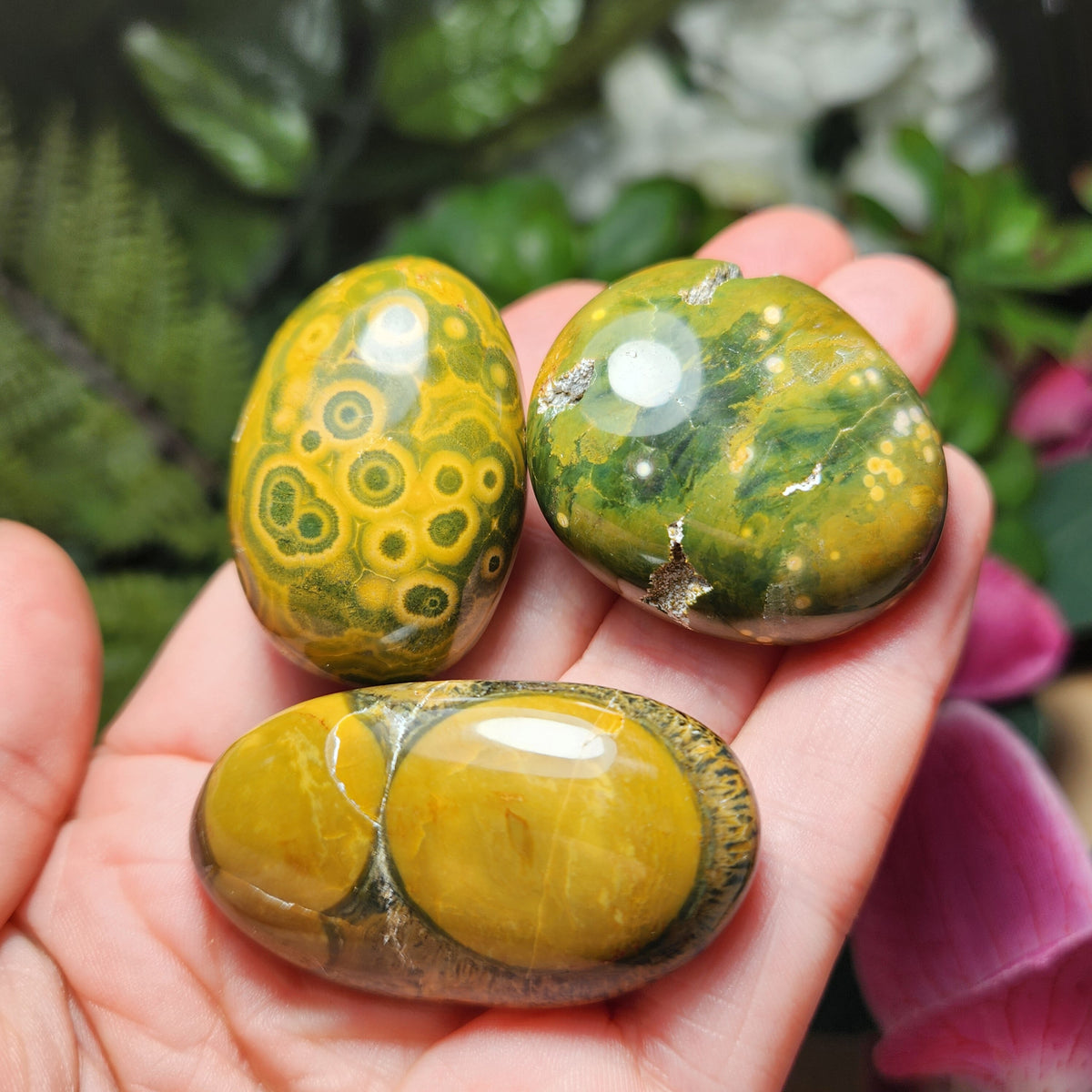 Orbicular Ocean Jasper Specimen from Kabamby – Polished Madagascar Coral Fossil Stone (1.25