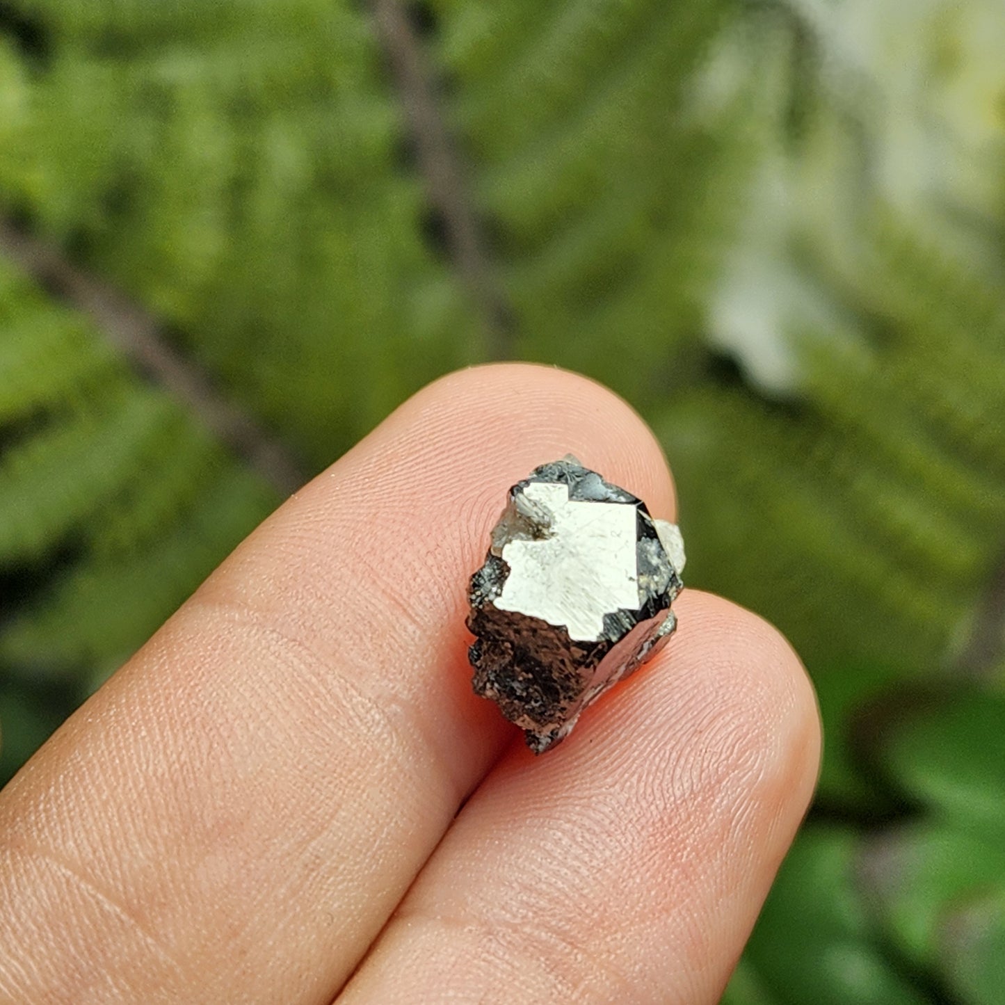Bixbite Crystal