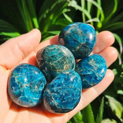 Blue Apatite Palm Stone