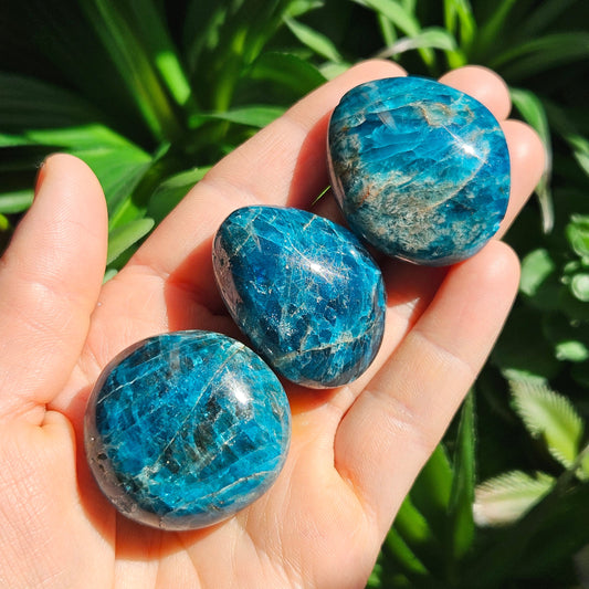 Blue Apatite Palm Stone
