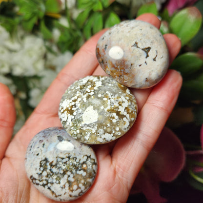 Ocean Jasper Palm Stone