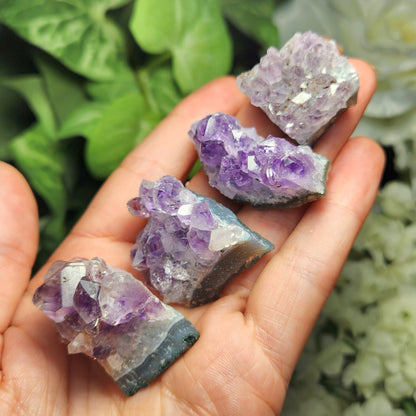 Amethyst Cluster