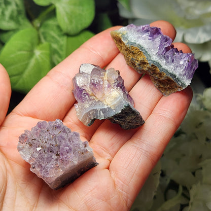 Amethyst Cluster