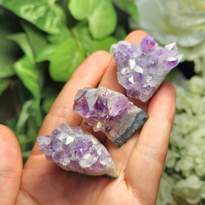 Amethyst Cluster