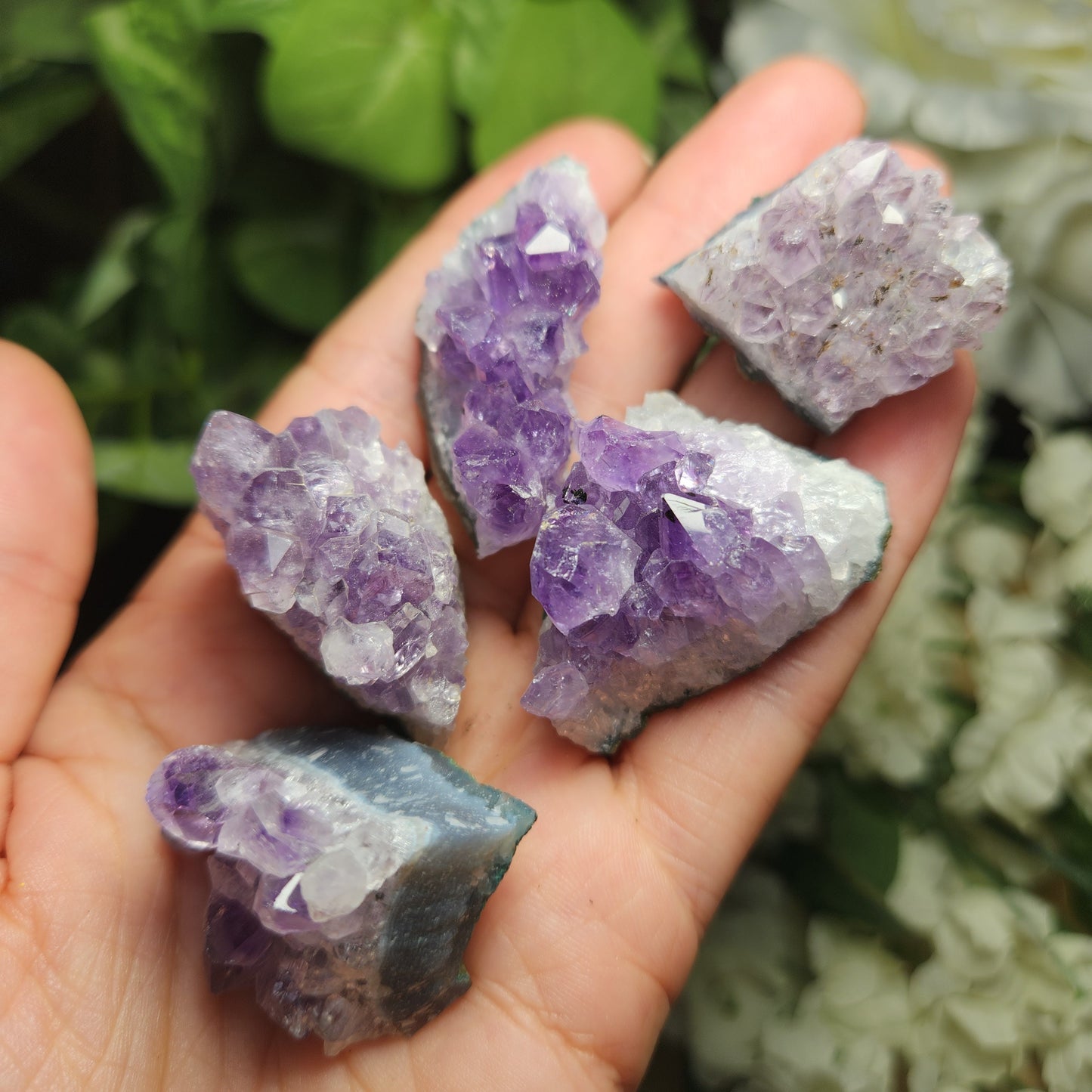 Amethyst Cluster