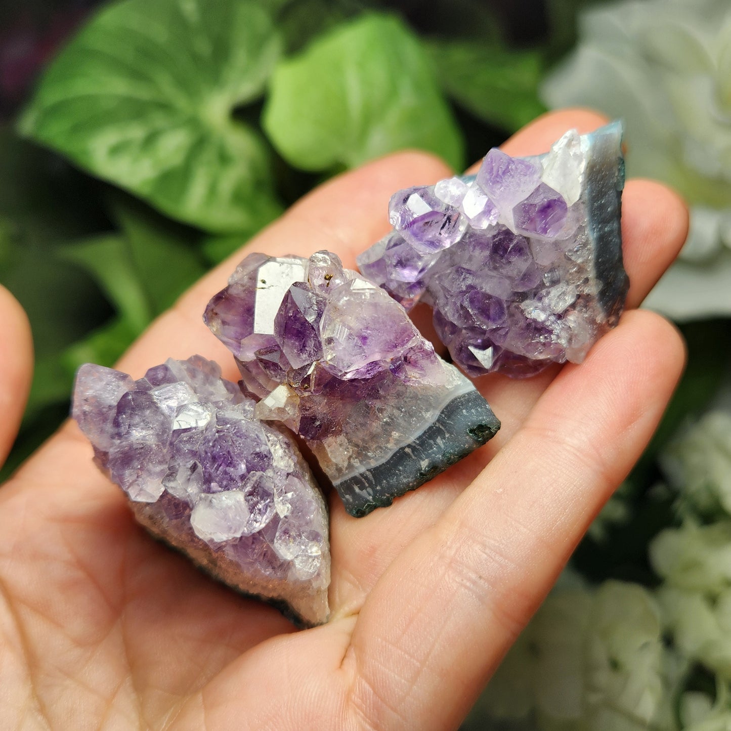 Amethyst Cluster