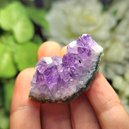 Amethyst Cluster