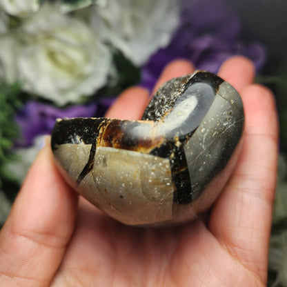 Septarian Nodule