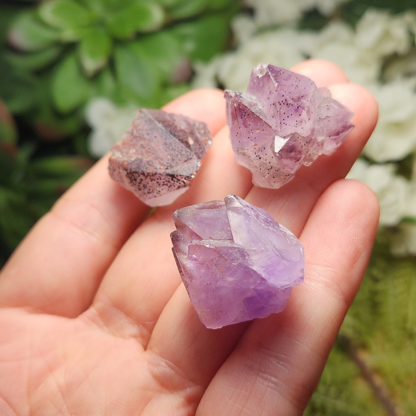 Auralite 23