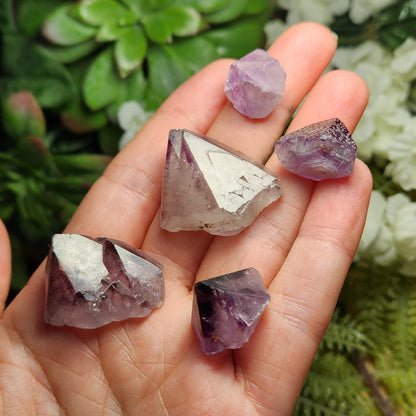 Auralite 23
