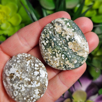 Ocean Jasper Palm Stone