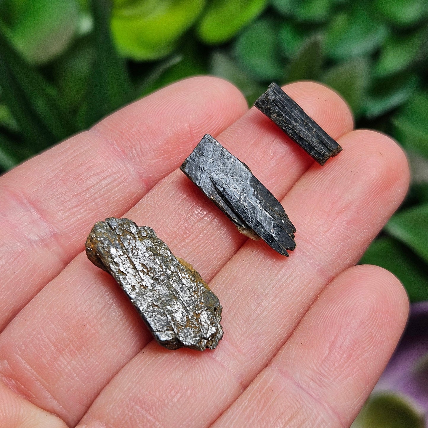 Black Aegirine Crystal