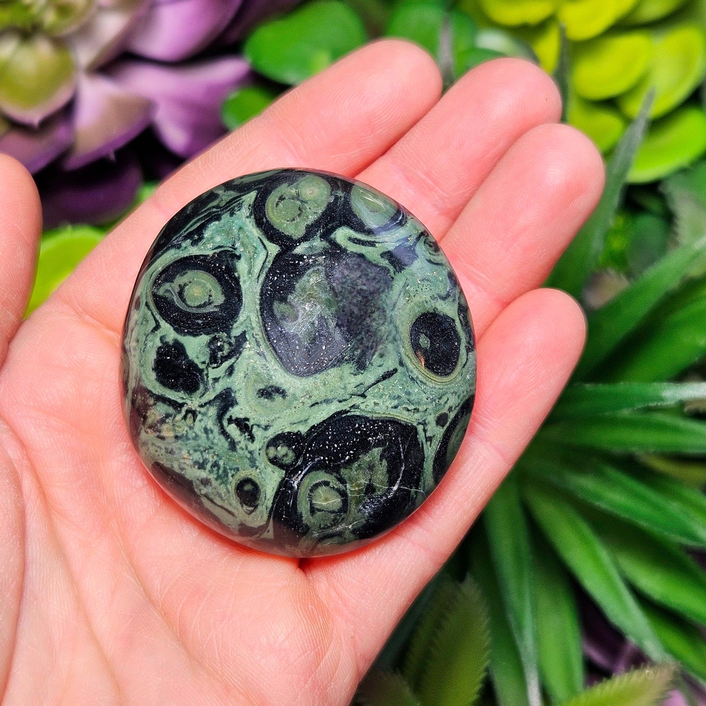 Kambaba Jasper Palm