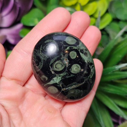 Kambaba Jasper Palm