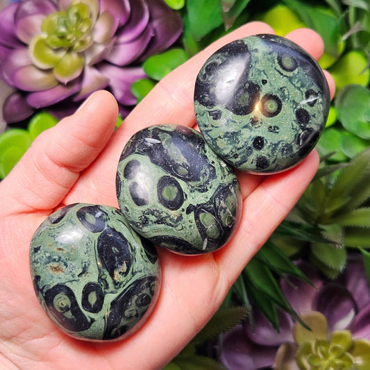 Kambaba Jasper Palm
