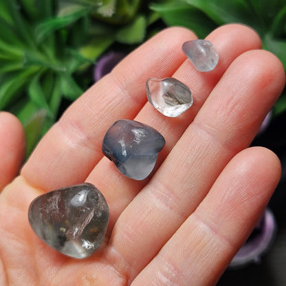 Blue Tara Nightshade Quartz