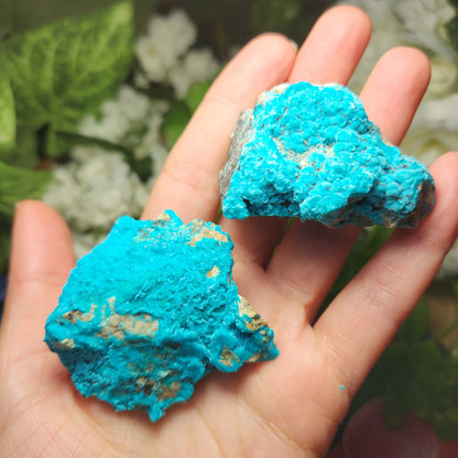 Chrysocolla Specimen