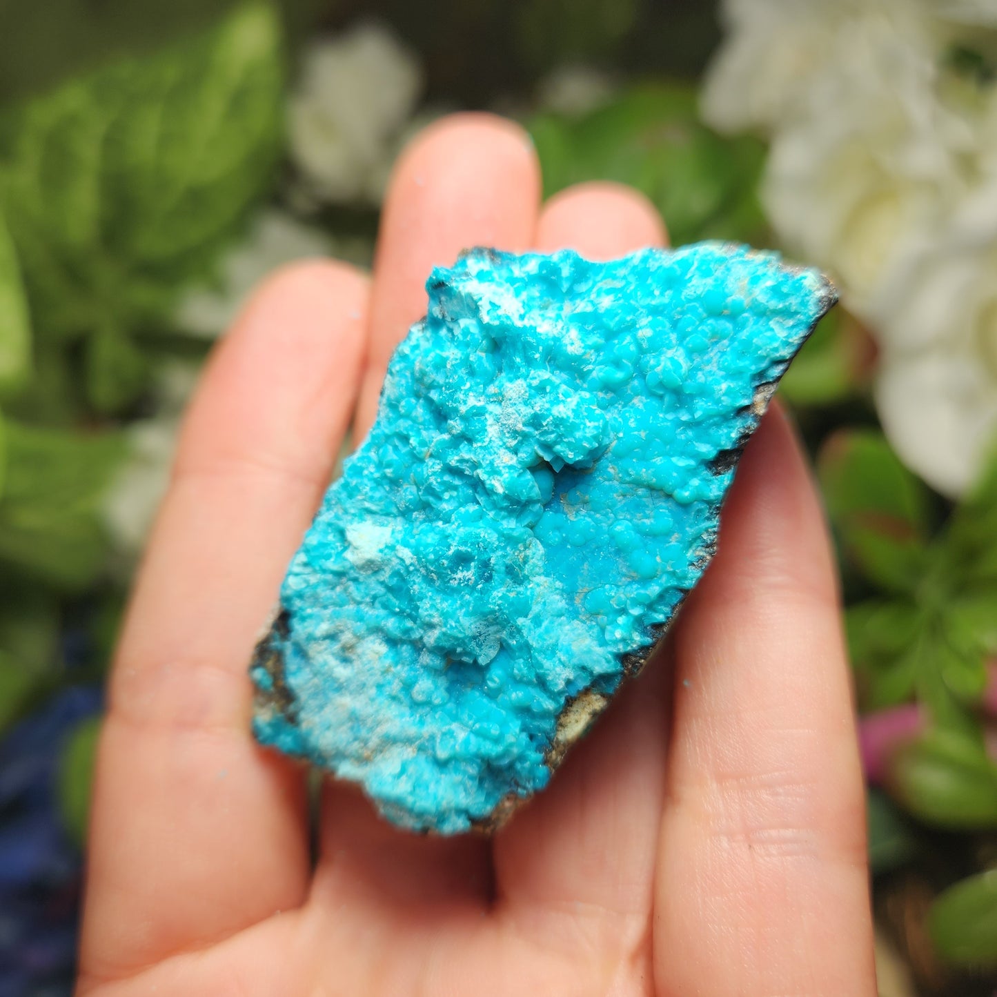 Chrysocolla Specimen