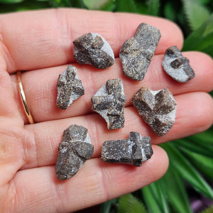 Staurolite Crystal