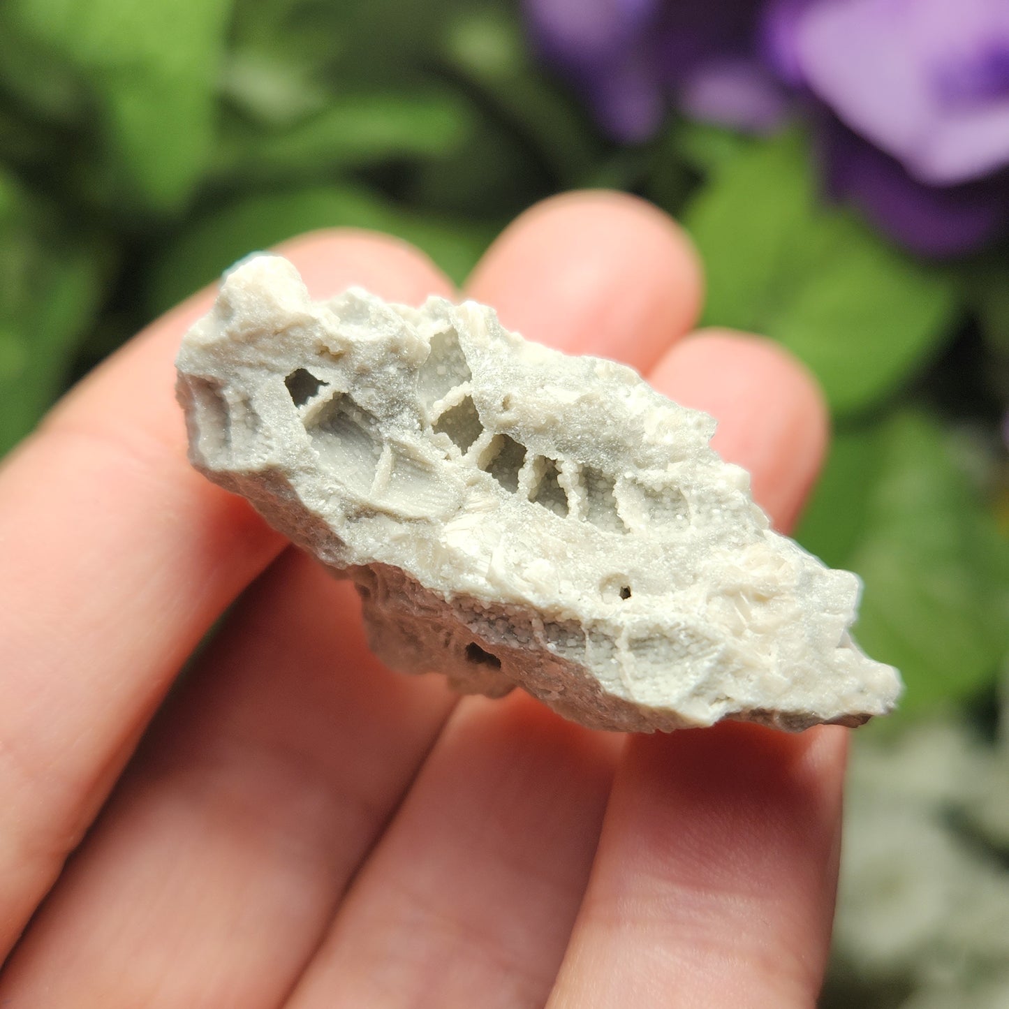 Fossilized Coral Specimen: Agatized Coral Stone from Ohio
