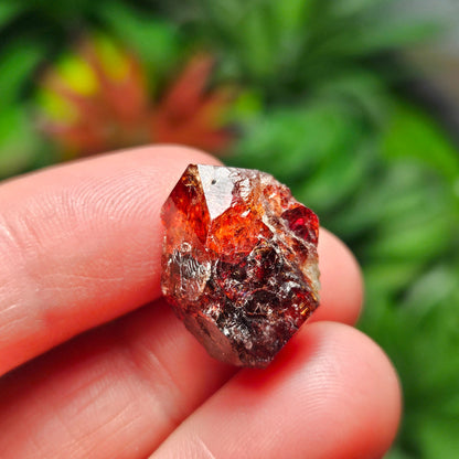 Zircon Crystal