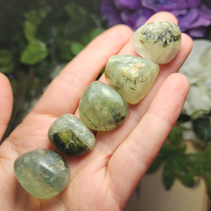 Prehnite Epidote