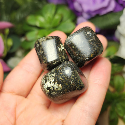 Black Galaxy Jasper