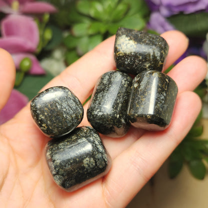 Black Galaxy Jasper