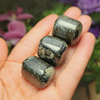 Black Galaxy Jasper