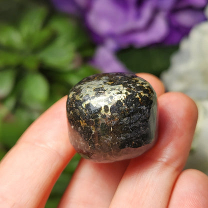 Black Galaxy Jasper
