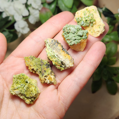 Raw Pyromorphite Crystal, Pyromorphite Cluster on Matrix