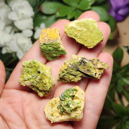 Raw Pyromorphite Crystal, Pyromorphite Cluster on Matrix