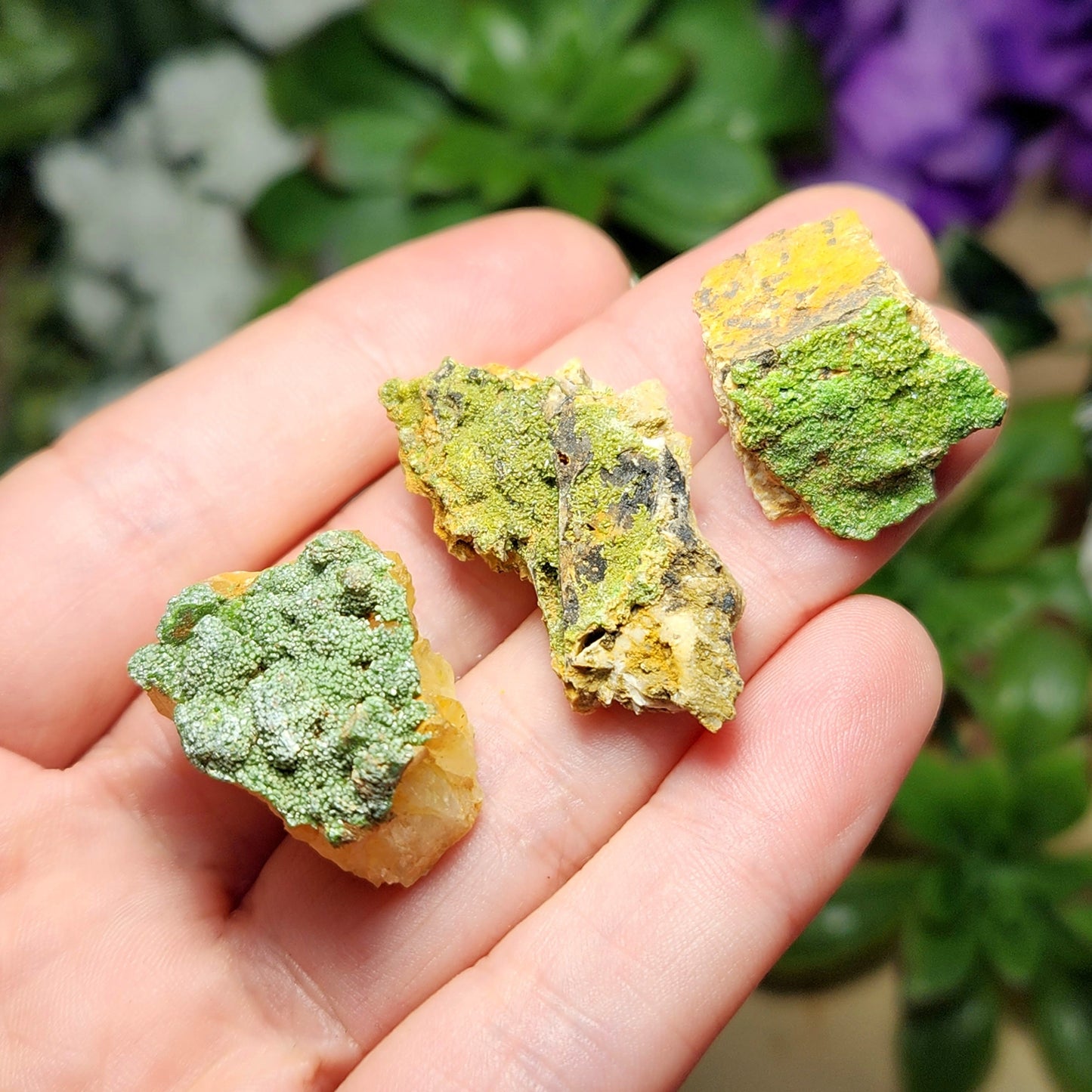 Raw Pyromorphite Crystal, Pyromorphite Cluster on Matrix