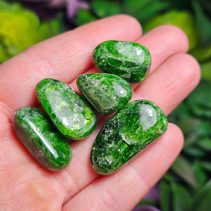 Chrome Green Diopside Tumbled Crystal Gem