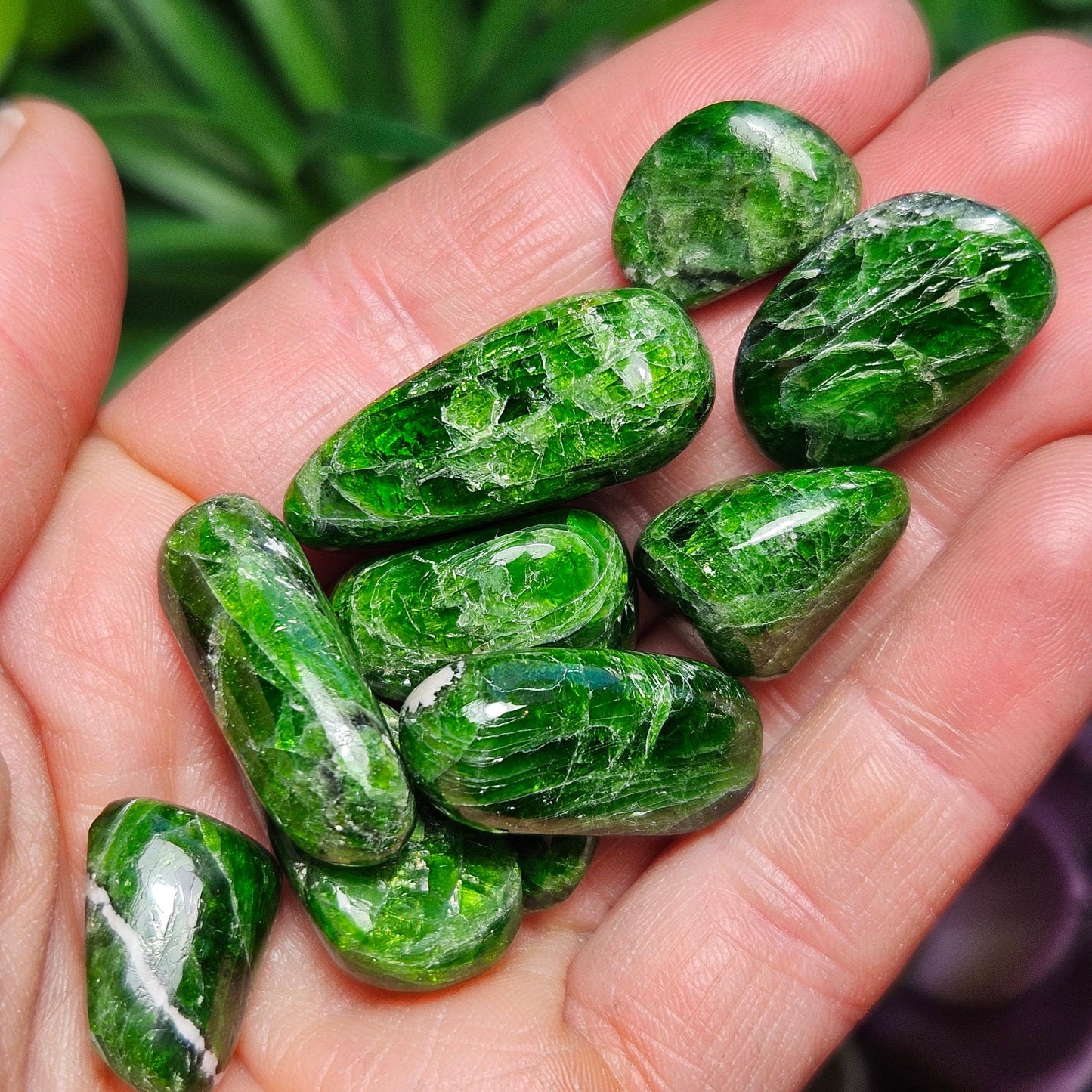 Chrome Green Diopside Tumbled Crystal Gem