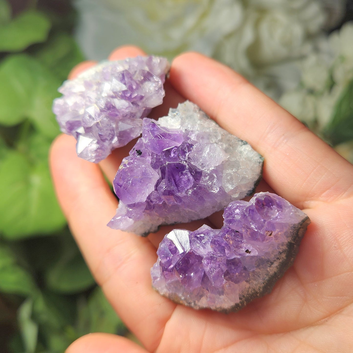 Amethyst Cluster