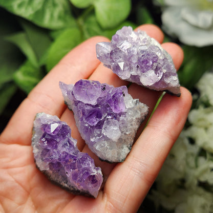 Amethyst Cluster