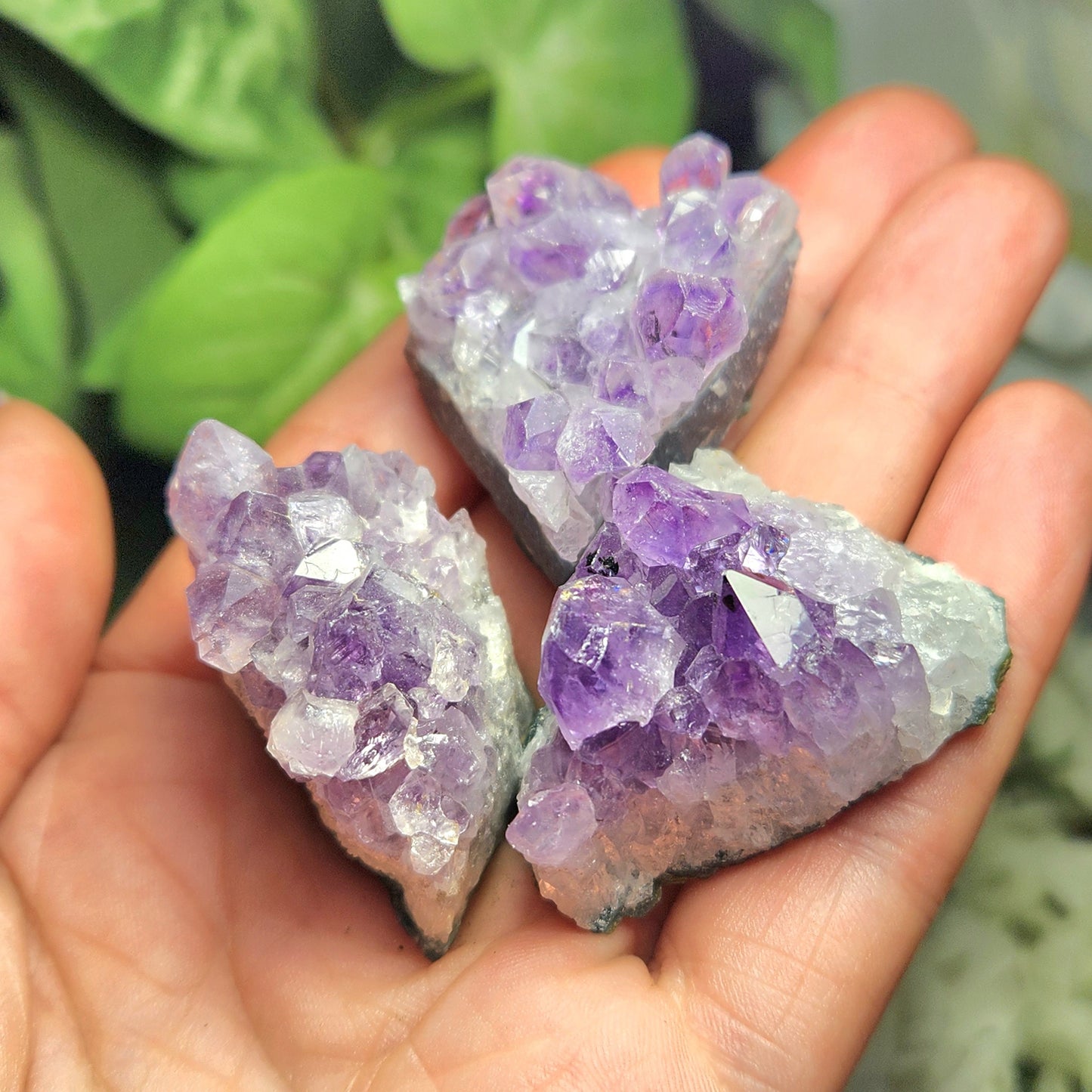 Amethyst Cluster