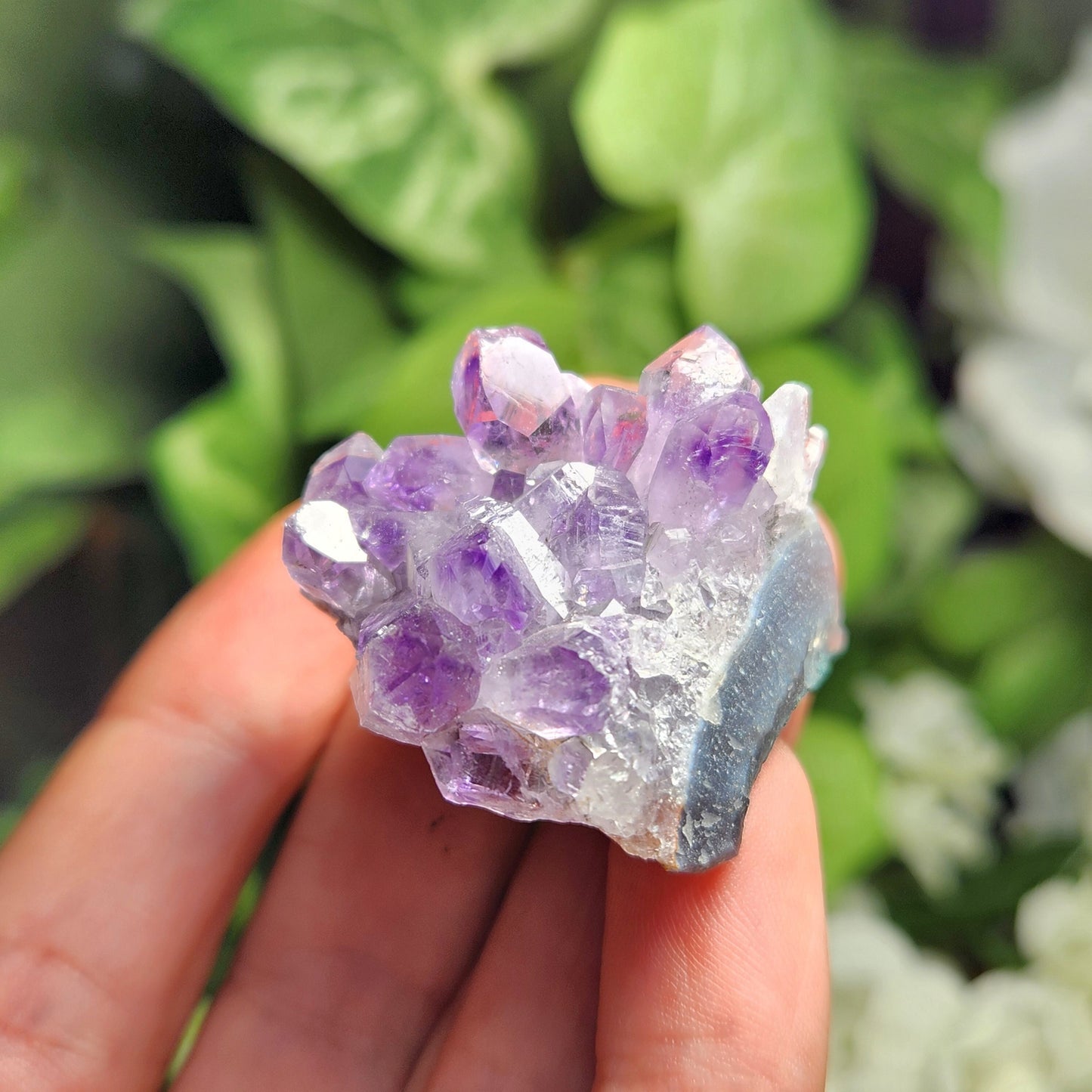 Amethyst Cluster