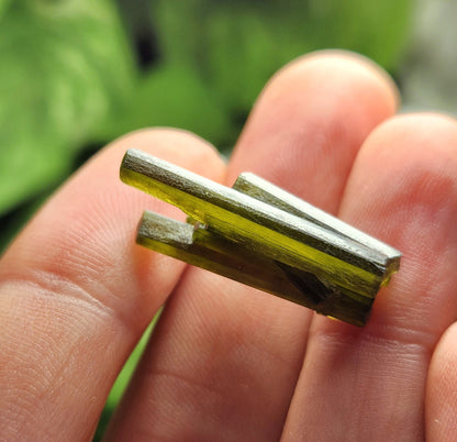 Epidote Crystal