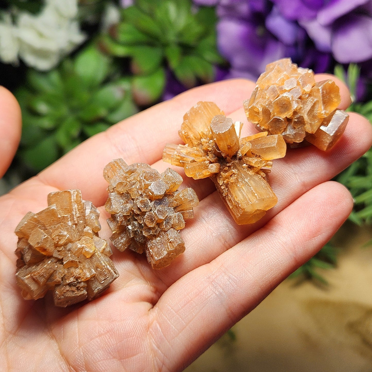 Aragonite Star Cluster