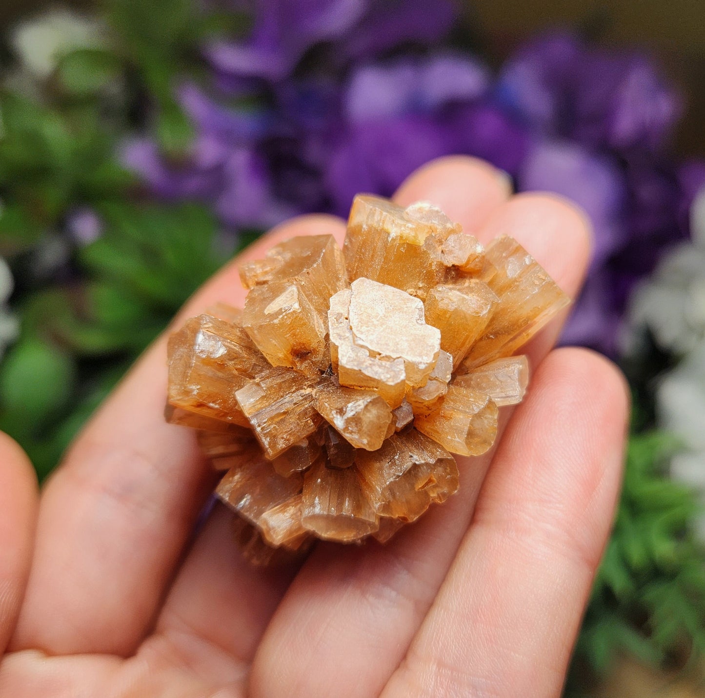 Aragonite Star Cluster