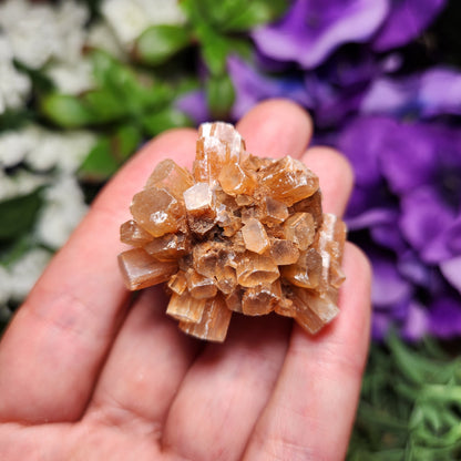 Aragonite Star Cluster